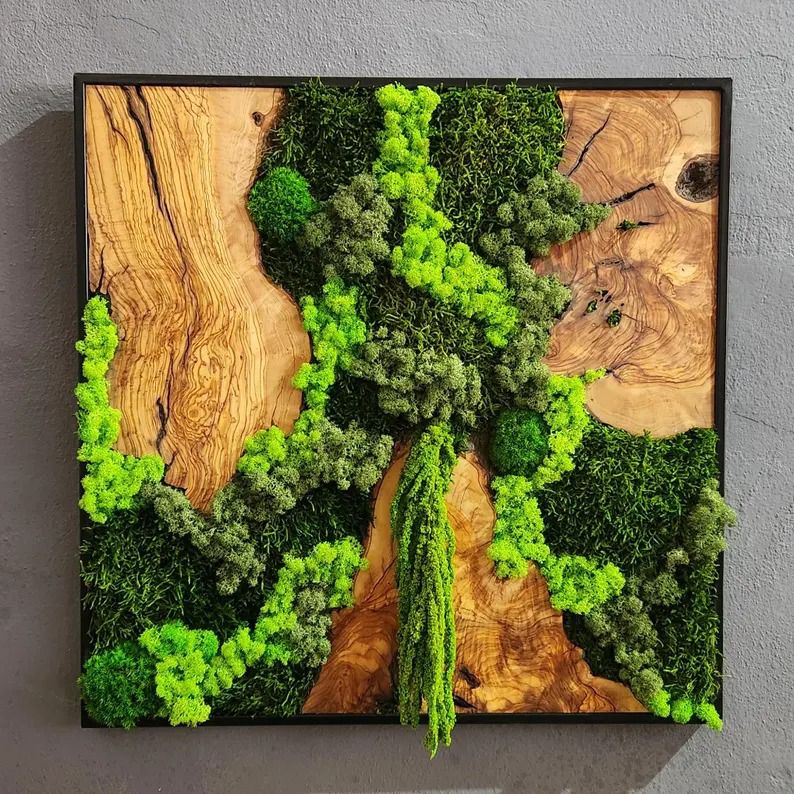 Moss and Olive Tree Painting Series