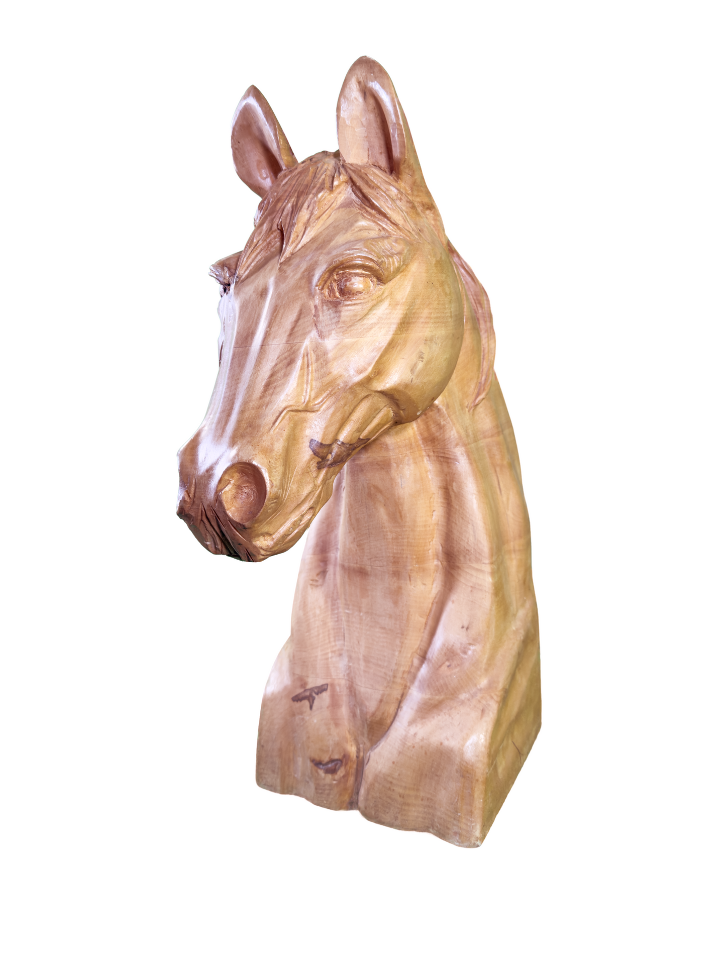 Noble Horse Bust