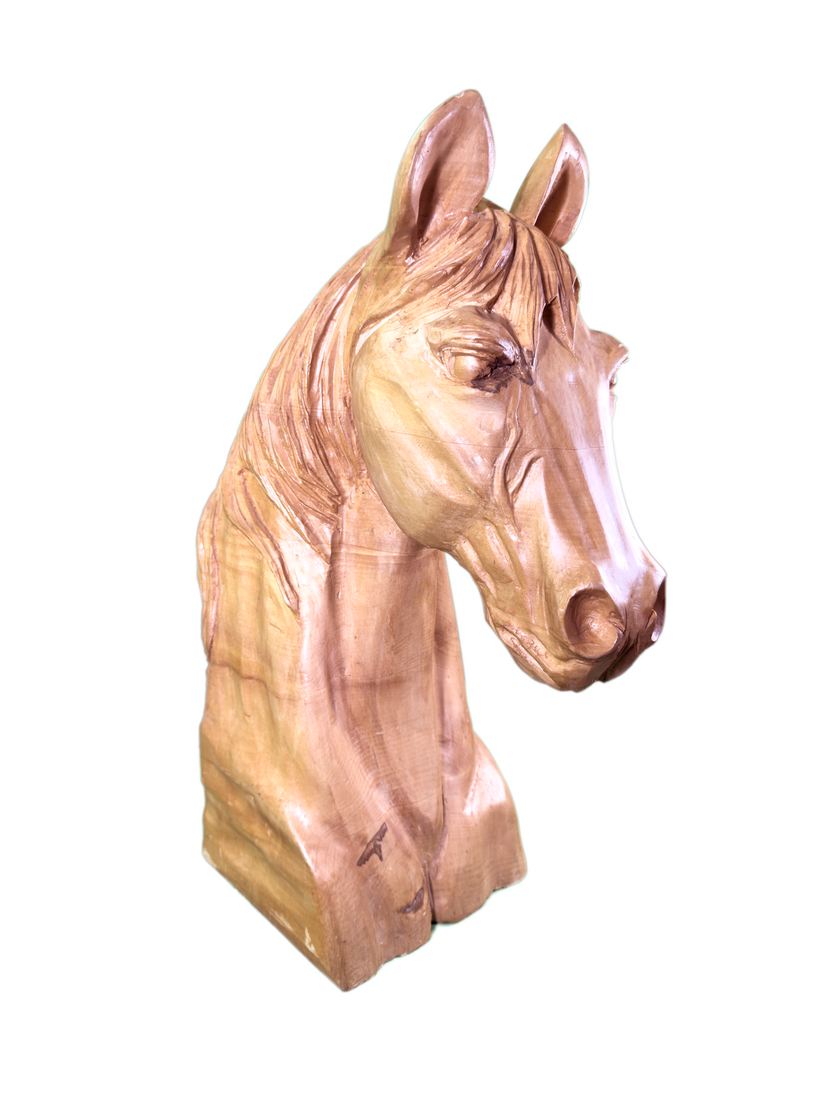 Noble Horse Bust