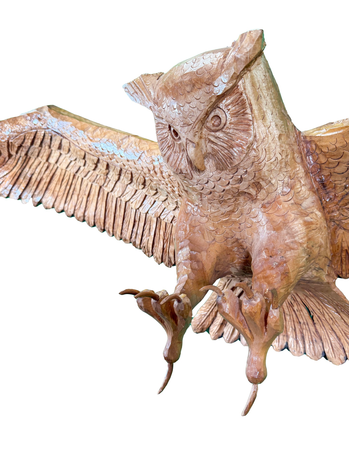 Feathered Owl Wall Decor