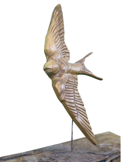 Gliding Swallow Object