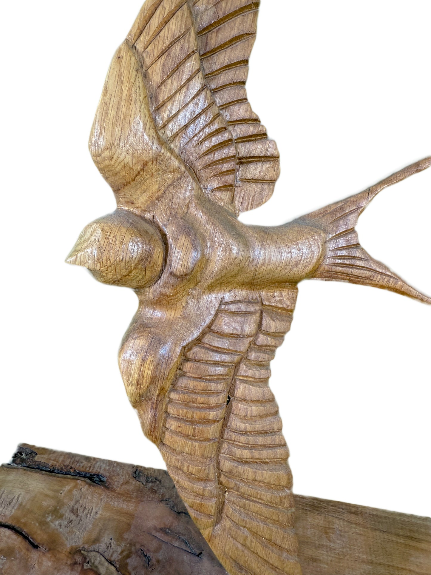 Gliding Swallow Object