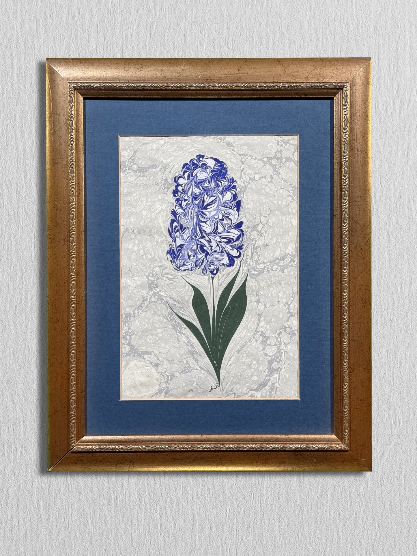 Blue Hyacinth