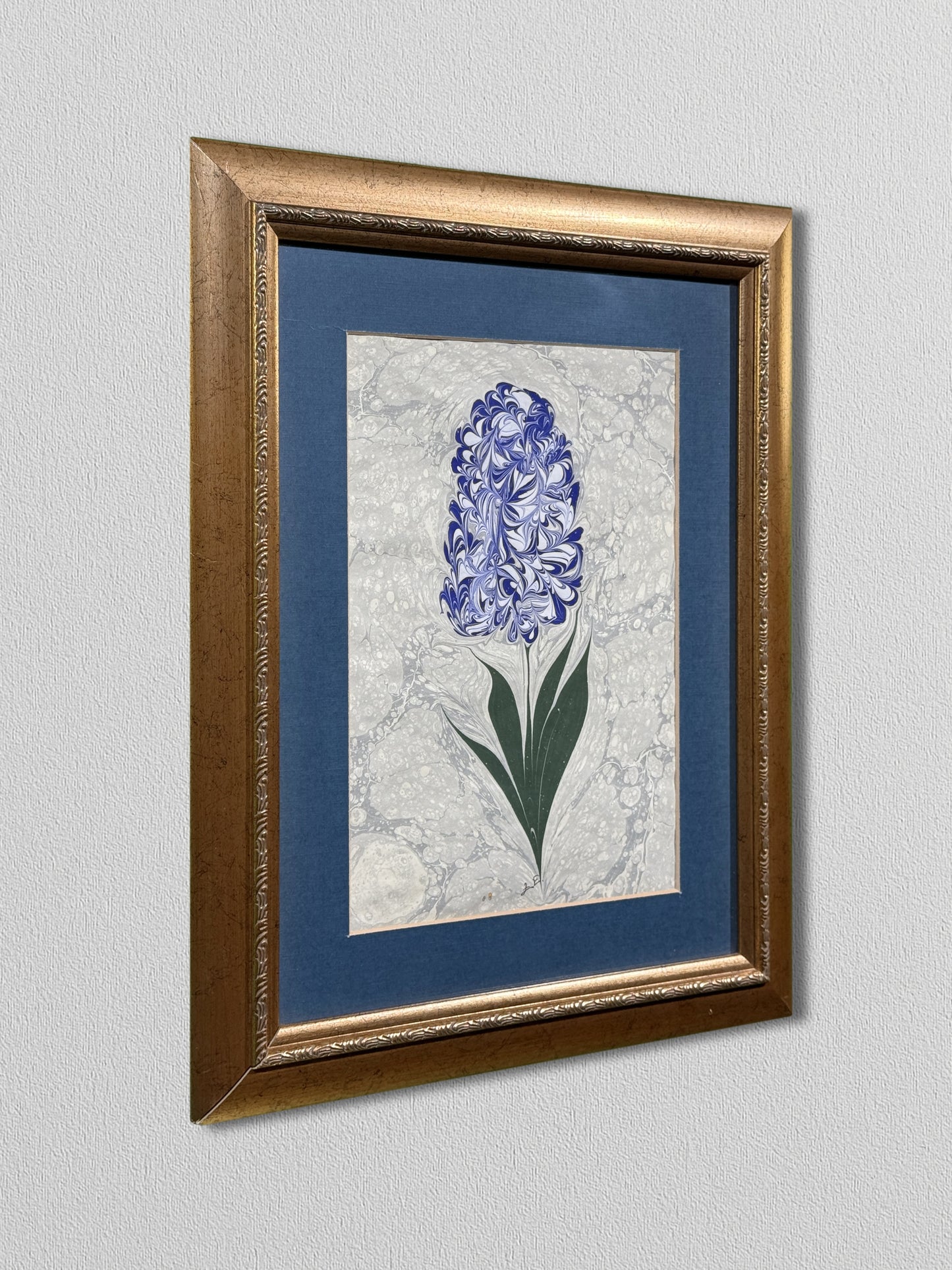 Blue Hyacinth