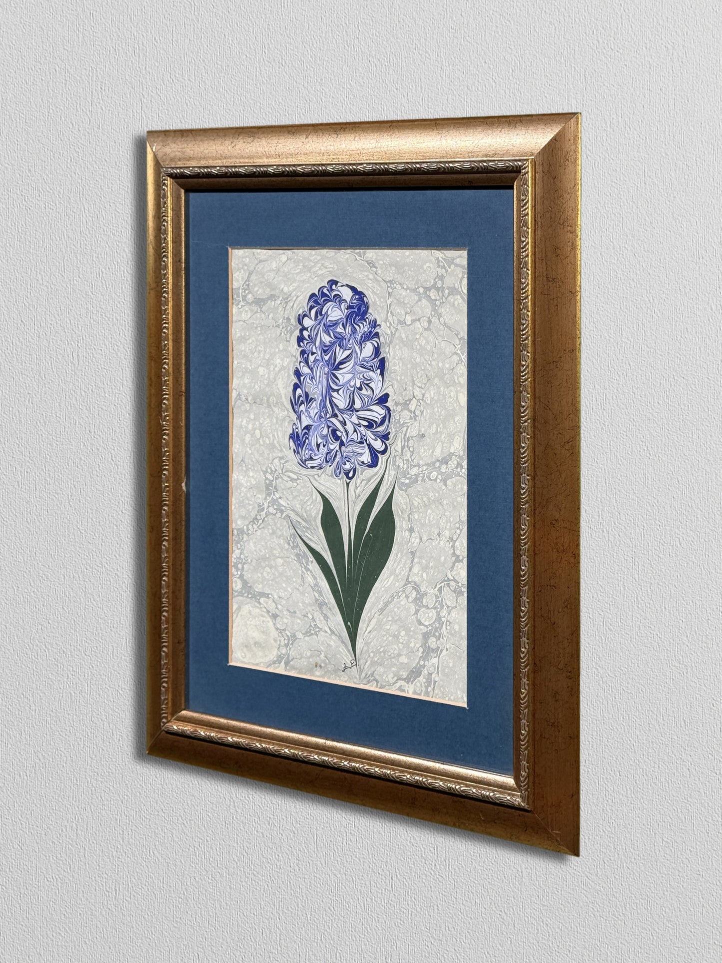 Blue Hyacinth